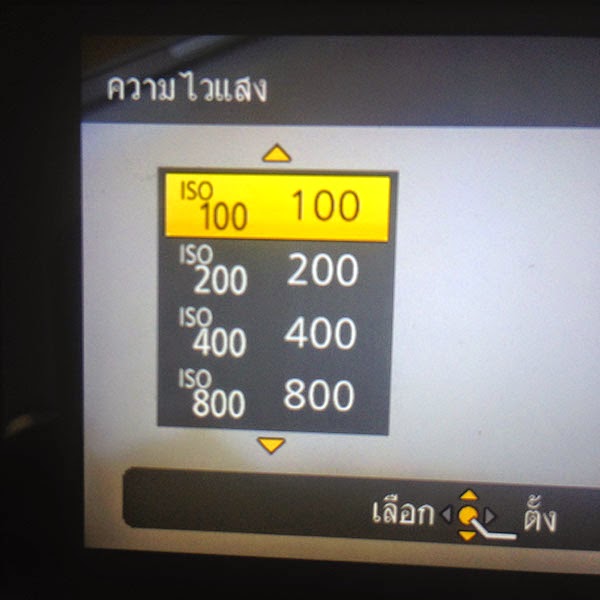 My Image 101