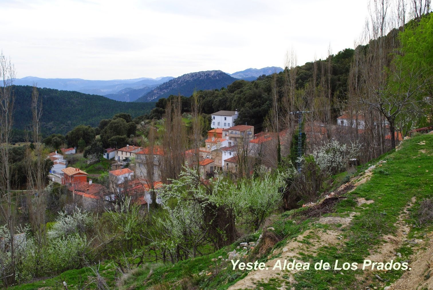 Yeste. Albacete. Paisajes LOS PRADOS.