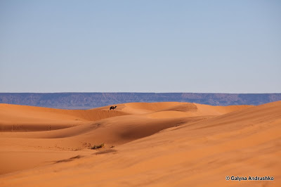В Марокко через Европу на собственном авто