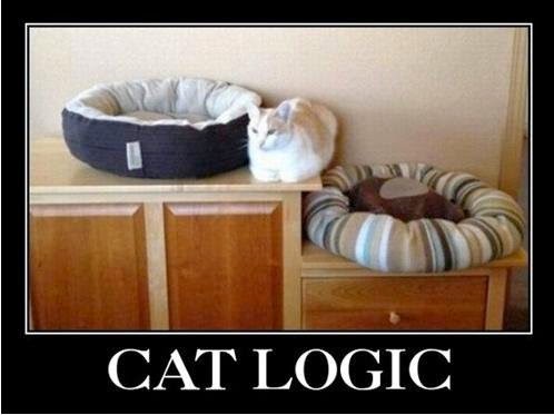 Cat Logic