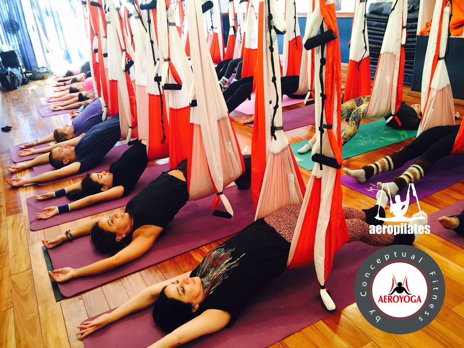 EXIGE EL SELLO OFICIAL E INTERNACIONAL AEROYOGA® AEROPILATES®: Cursos Formación Profesores AeroYoga® (yoga Aéreo©) International. Unicos cursos con Rafael Martinez, creador métodos AeroYoga® AeroPIlates®, Unicos cursos homologados internacionalmente con ANPAP y la IAA, Asociaciones Nacionales e Internacionales que avalan la FORMACION INTERNACIONAL PROFESORES OFICIAL