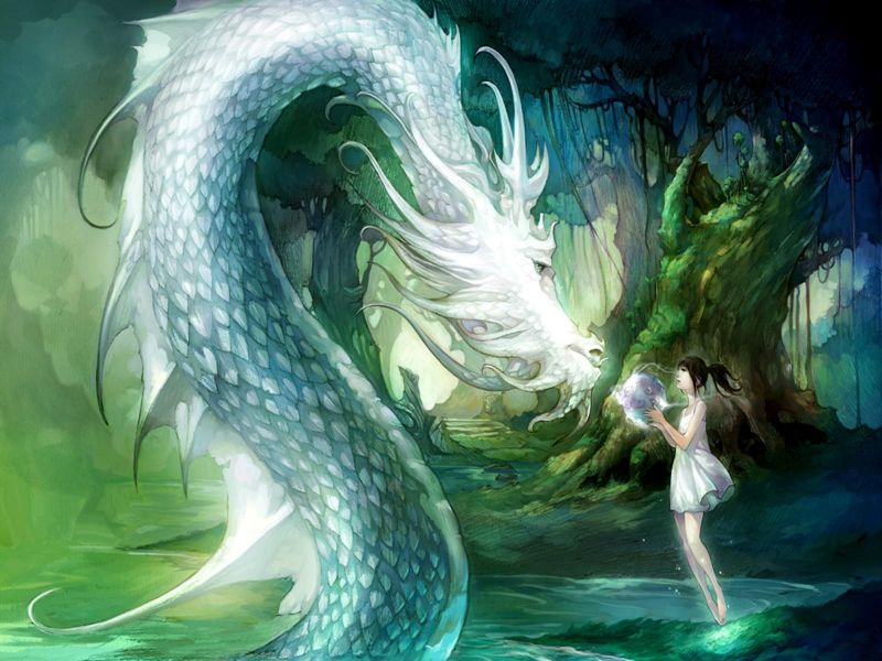 Animales mitológicos. Dragon+Blanco-346203_800