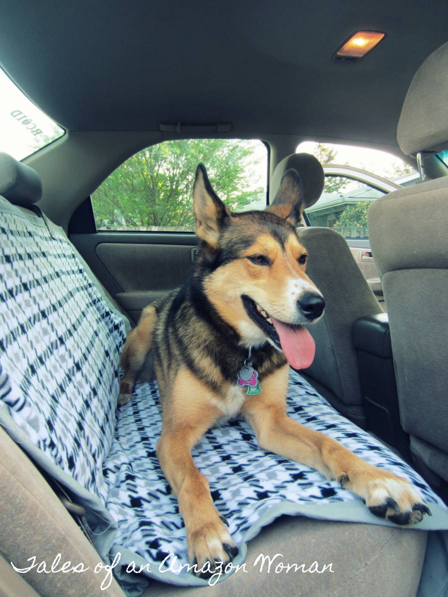 Tales of an Amazon Woman in Pink Shoes DIY Dog Car Blanket