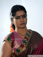 Jayavani Latest Saree Photos 3 pic 15