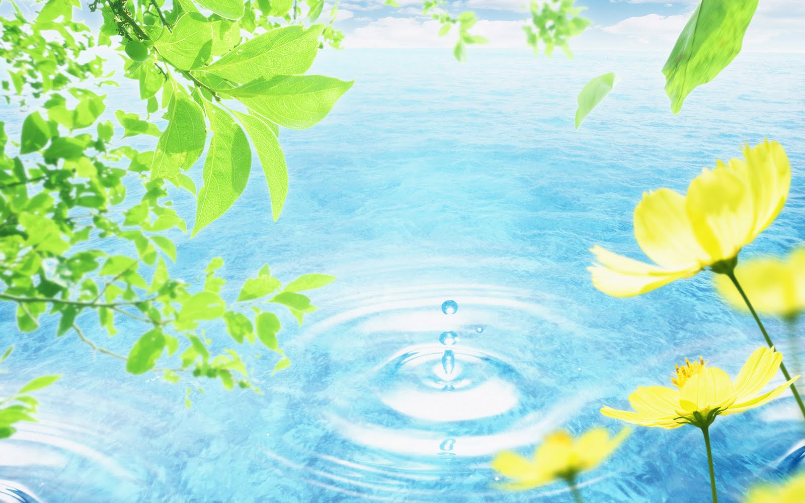 Riad in fez, Fes Riad maroc, Riadibnkhaldoun.com: free nature vector