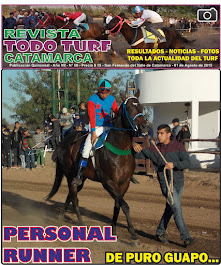 REVISTA Nº 6 - 2015