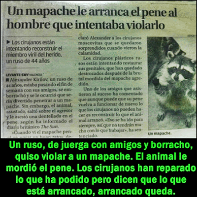 noticia pene mordido