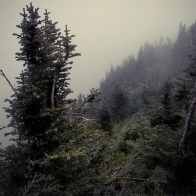 Mellow Grave - Sleepwork Mellow Grave - Sleepwork