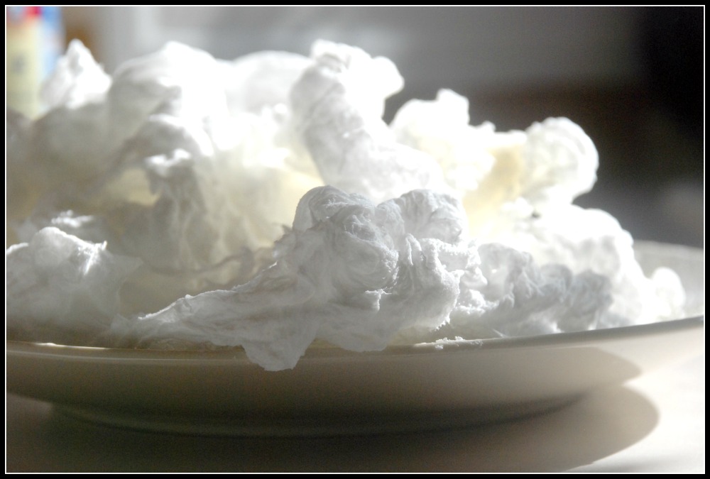 Homemade Serenity Science with Kids Microwave Ivory Soap