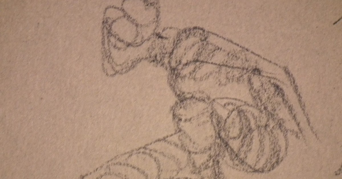 Tricia's Blog drawing the choreography