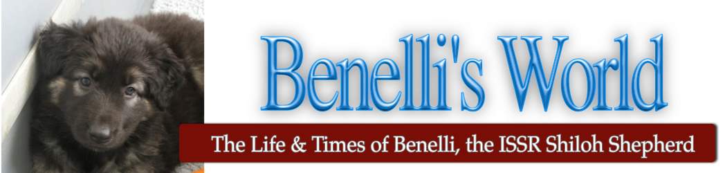 Benelli's World