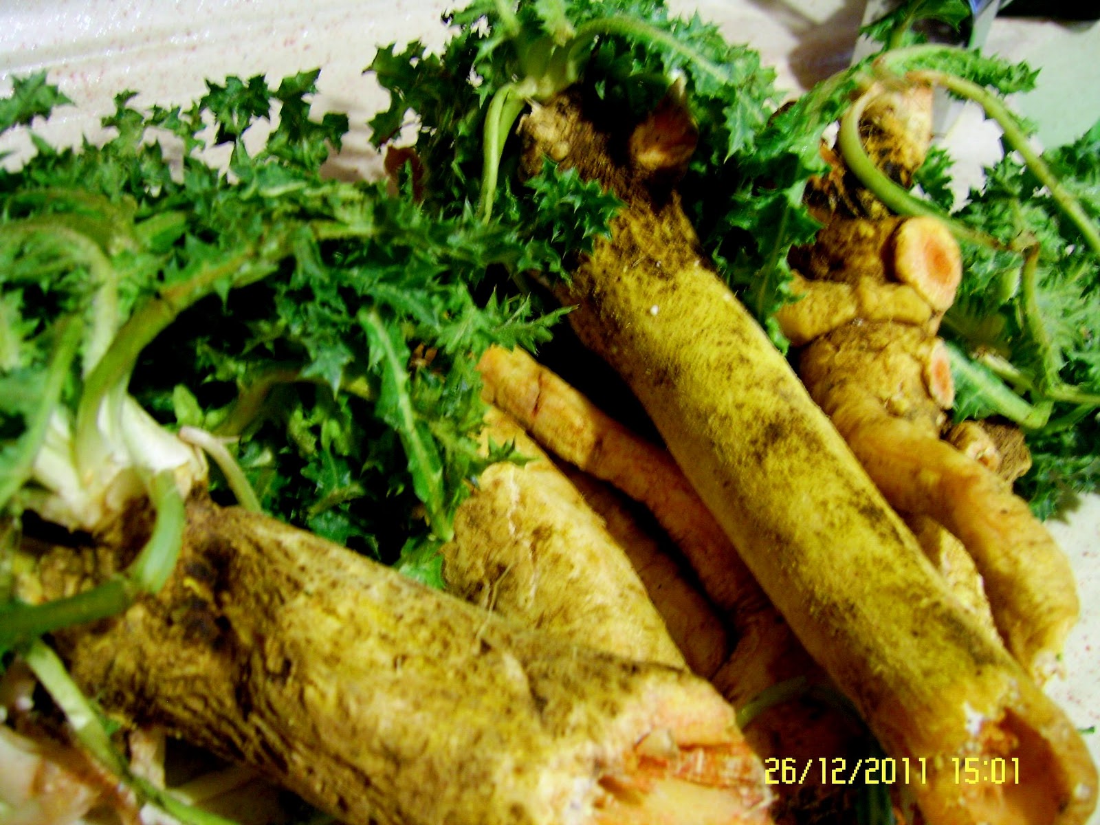 yeliz�in lezzetleri KUZU ETLİ ŞEVKETİ BOSTAN