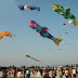 Free Vibrant Kite Festival Photograph