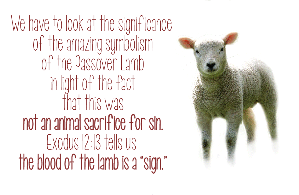 Beyond Love From Passover to Resurrection The Last Week of the Lamb