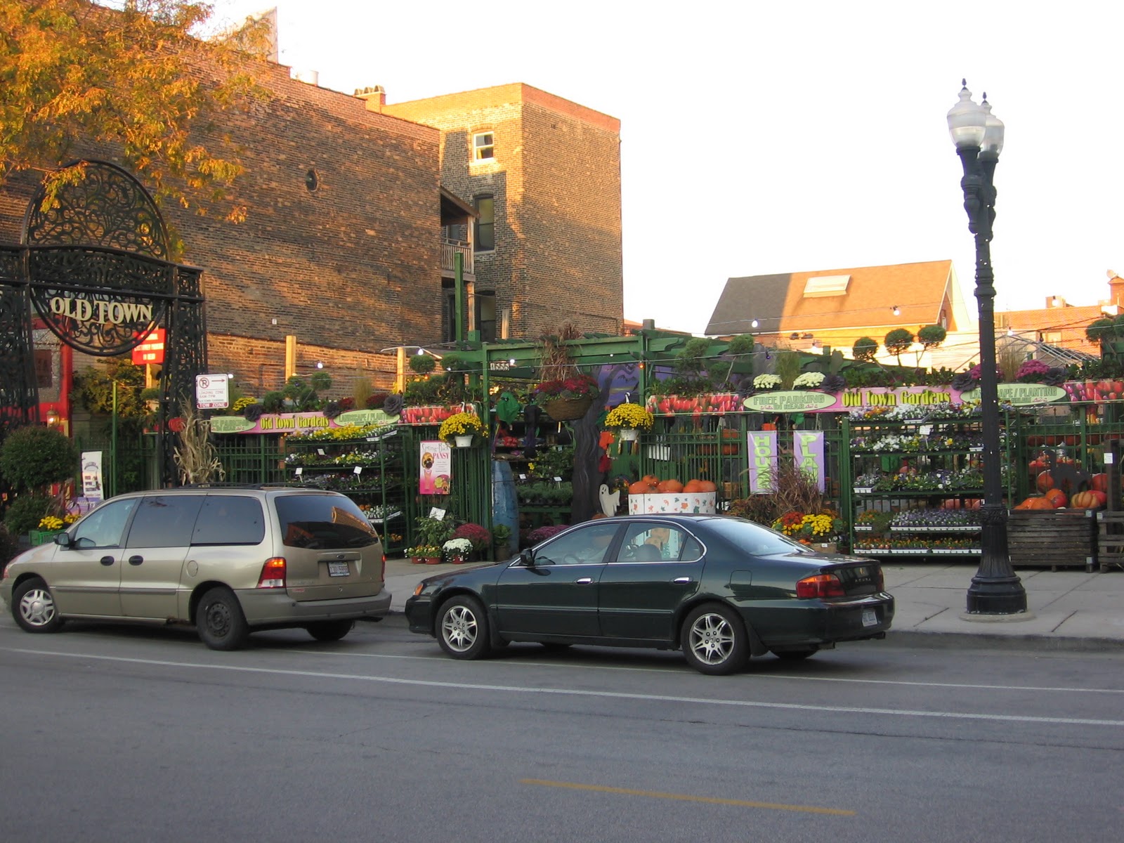 The Chicago Real Estate Local Fall colors, shopping in Old Town Chicago