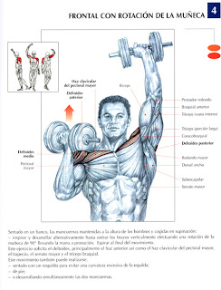 Esteroides para fortalecer los musculos