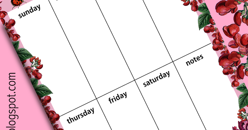 Http Davideberhart Com Soccorro Island Electric Ray Jpg Http Www