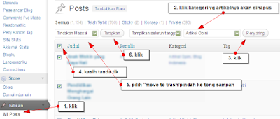 Cara Delete Hapus Massal Artikel Wordpress 2