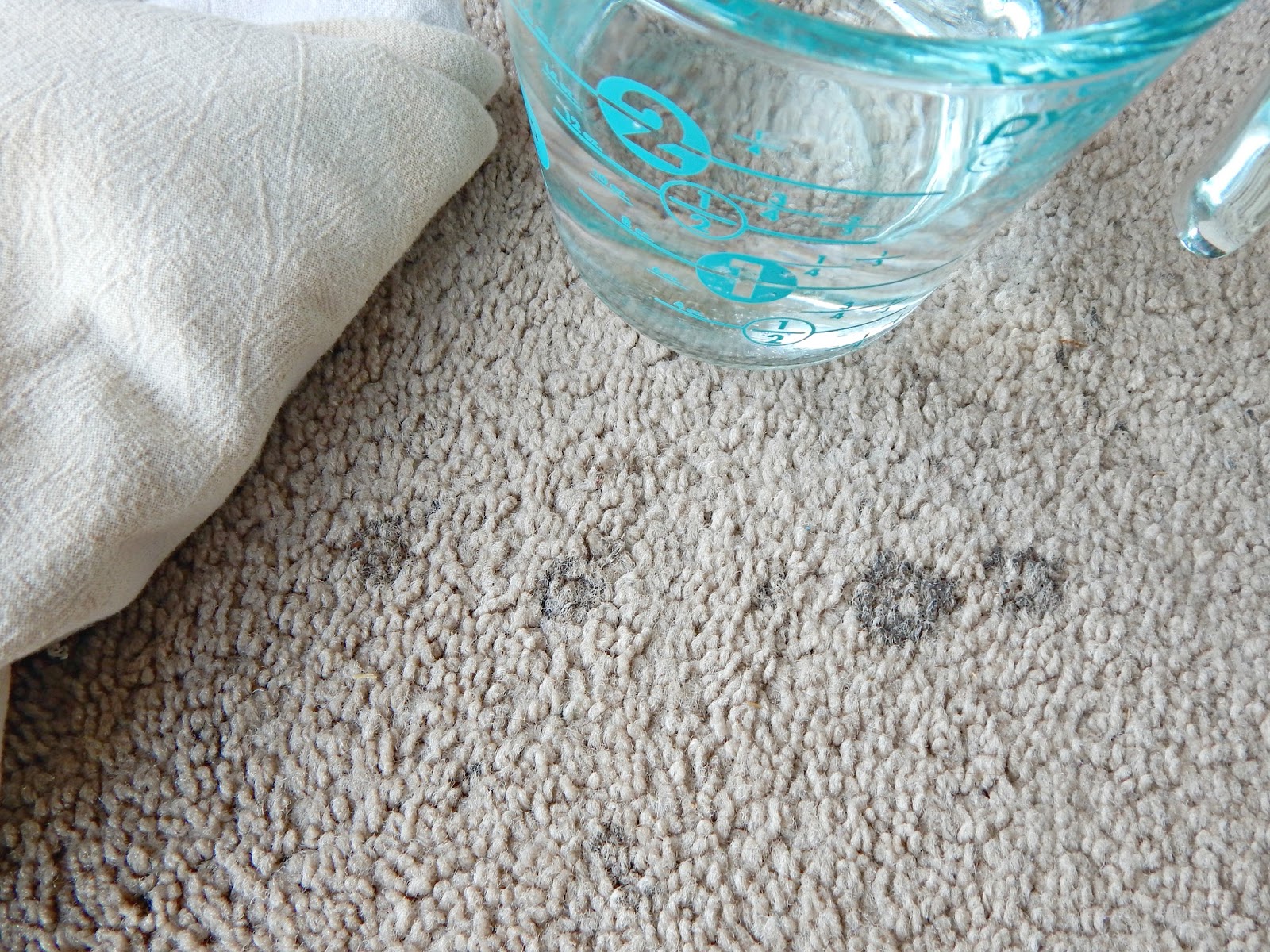 How to Easily Remove Stains from Carpet Without Chemicals! Proverbs