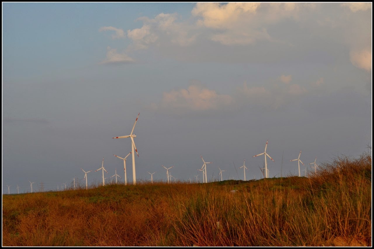 Photo of Beaches of Kutch 8/8 by Neha Sharma