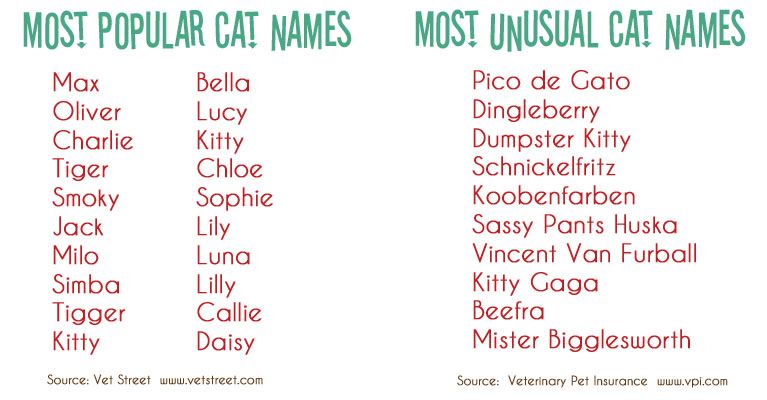 Talking Dogs at For Love of a Dog: Whats in a Cat Name