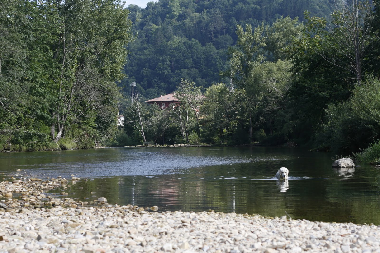 Hotel La Cepada. Cangas de Onís (Asturias) viajes con mi perro