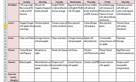 health fitness plans