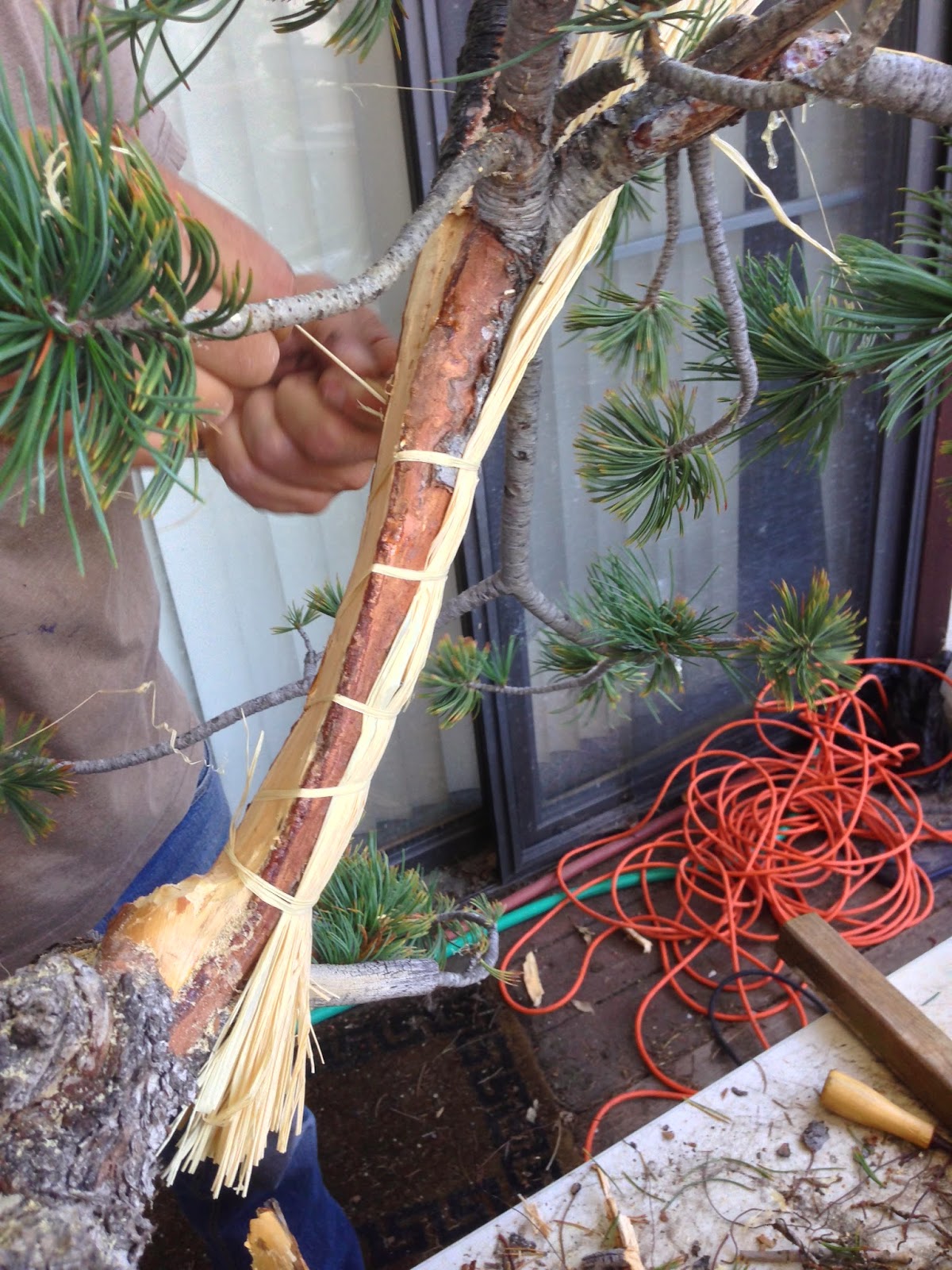 Branch Work Branch and trunk bending techniques