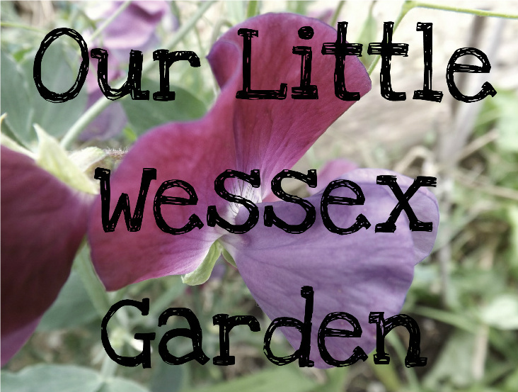 Our Little Wessex Garden Adventures 