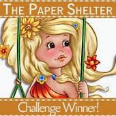The Paper Shelter