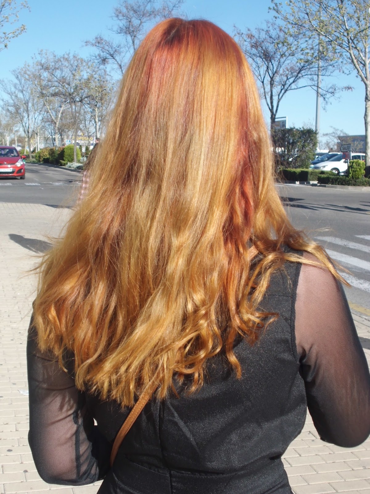 * Freak Muffin *: Mi experiencia con la henna Radhe Shyam