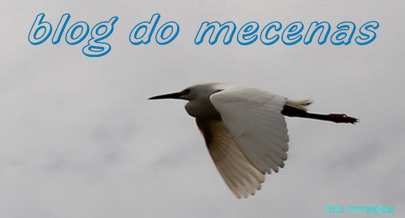 blog do mecenas