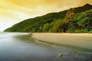 Cape Tribulation