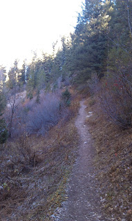 Butler Fork Trail