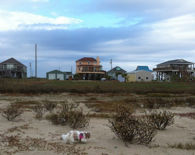 Holly Beach La For Sale at Yvonne Price blog