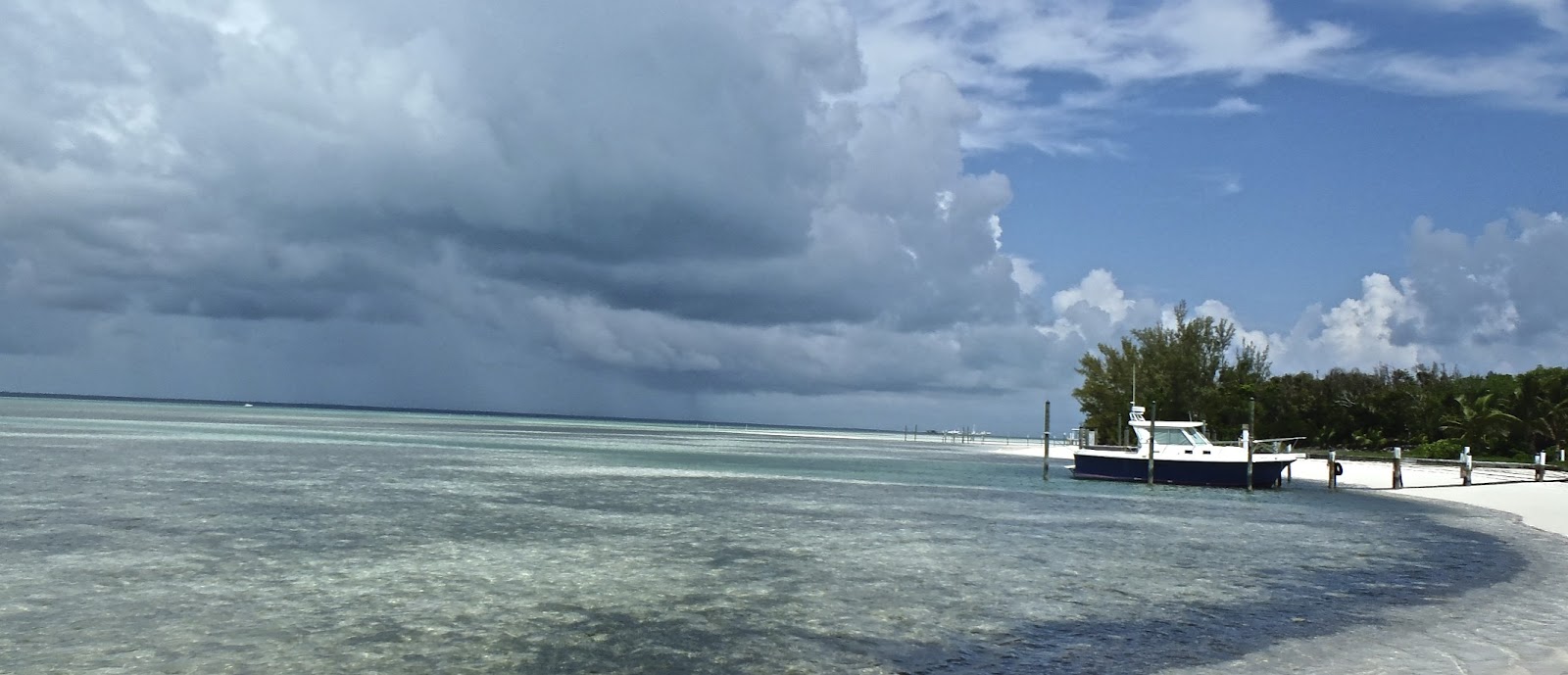 The Rogue Outdoors Bahamas Green Turtle Cay