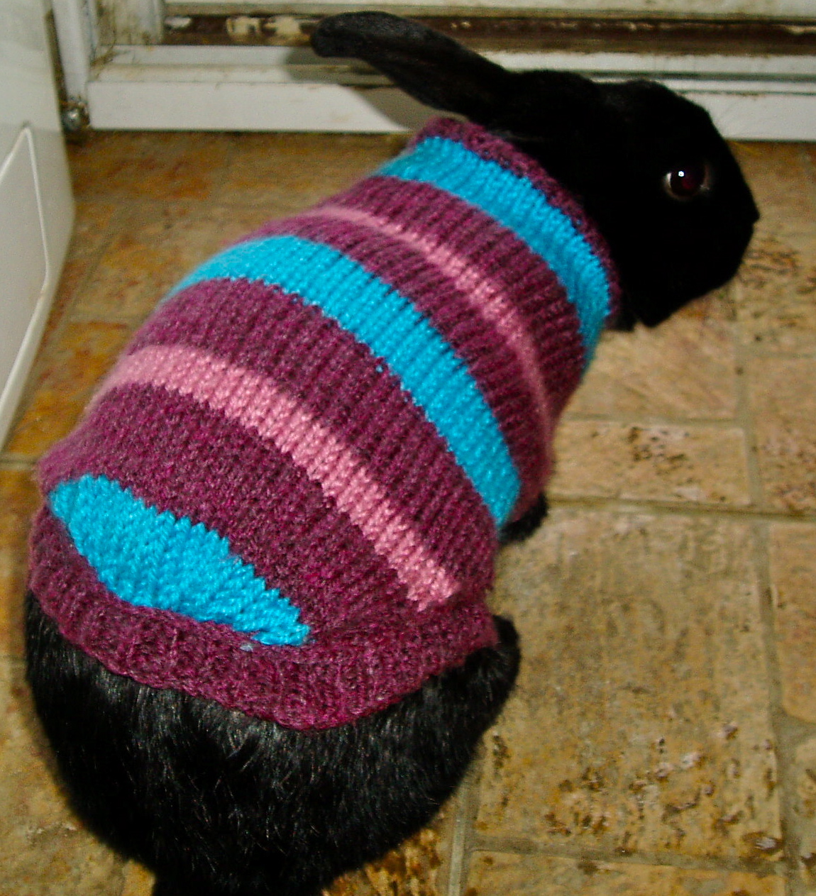 sukilii blog bunny sweaters