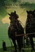 Click Here to learn more about the Amish Horses Series!