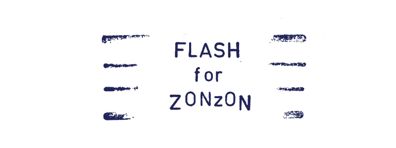 Flash For Zonzon
