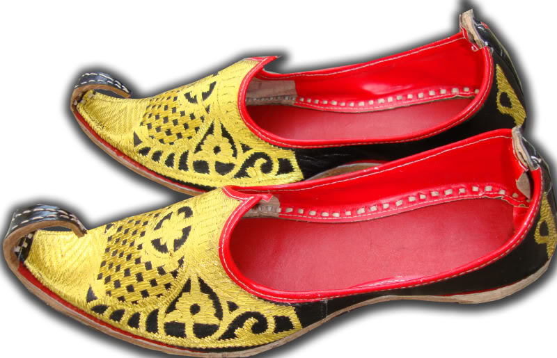 Dresses Punjabi culture