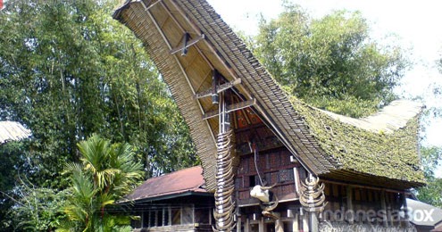 View Rumah Adat Tongkonan Berasal Dari Pics