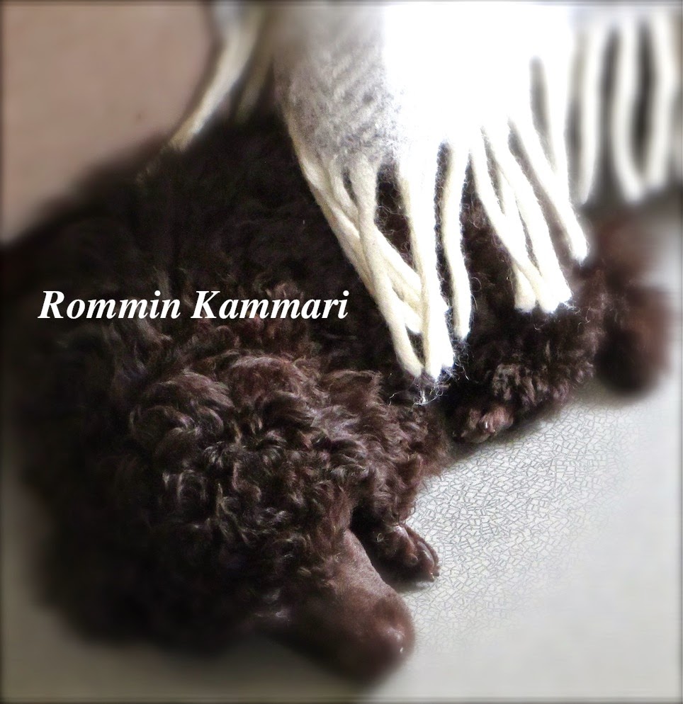 Rommin Kammari