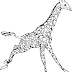 Desenho Girafa Correndo - Colorir