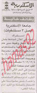 عمل حكومى فى مصر 13 ديسمبر 2012  %D8%A7%D9%84%D8%A7%D8%AE%D8%A8%D8%A7%D8%B1+1