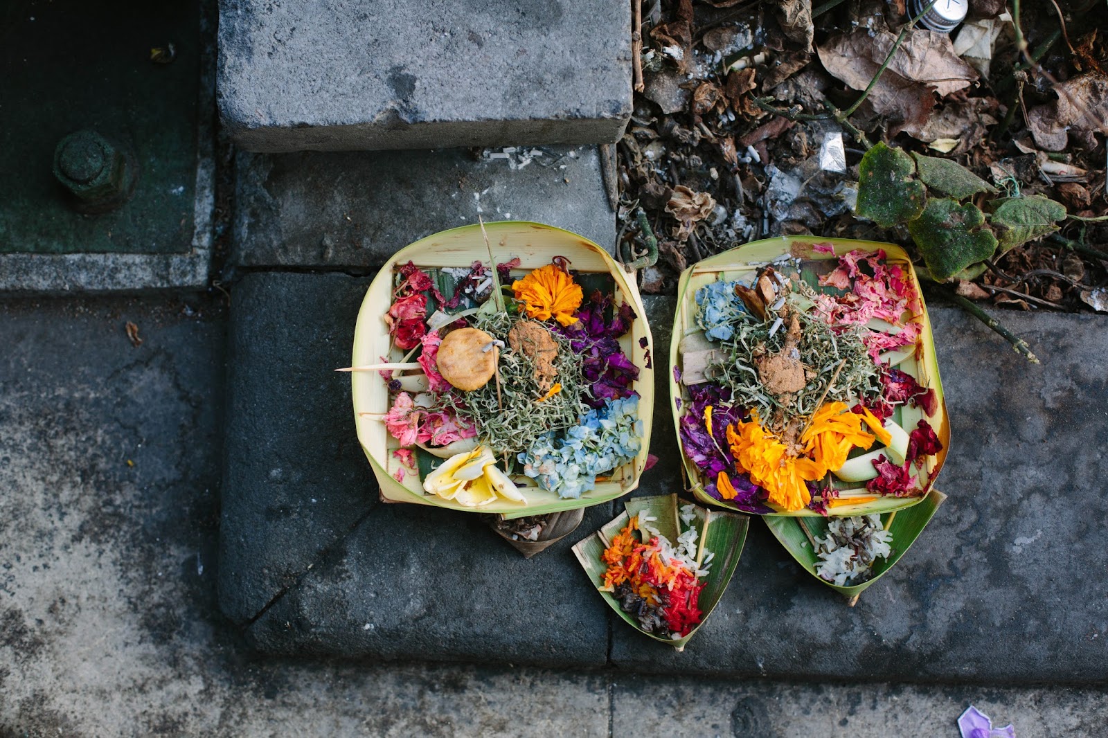 Indonesianinspired choko curry + photos from Bali! My Darling Lemon