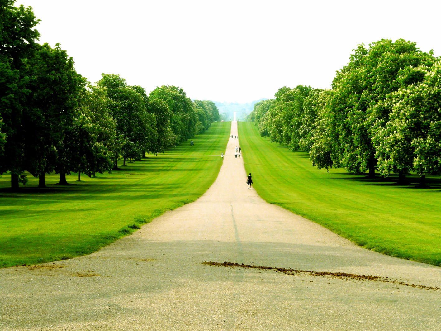 A Long Walk