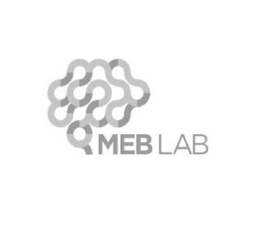 MEB lab Blog