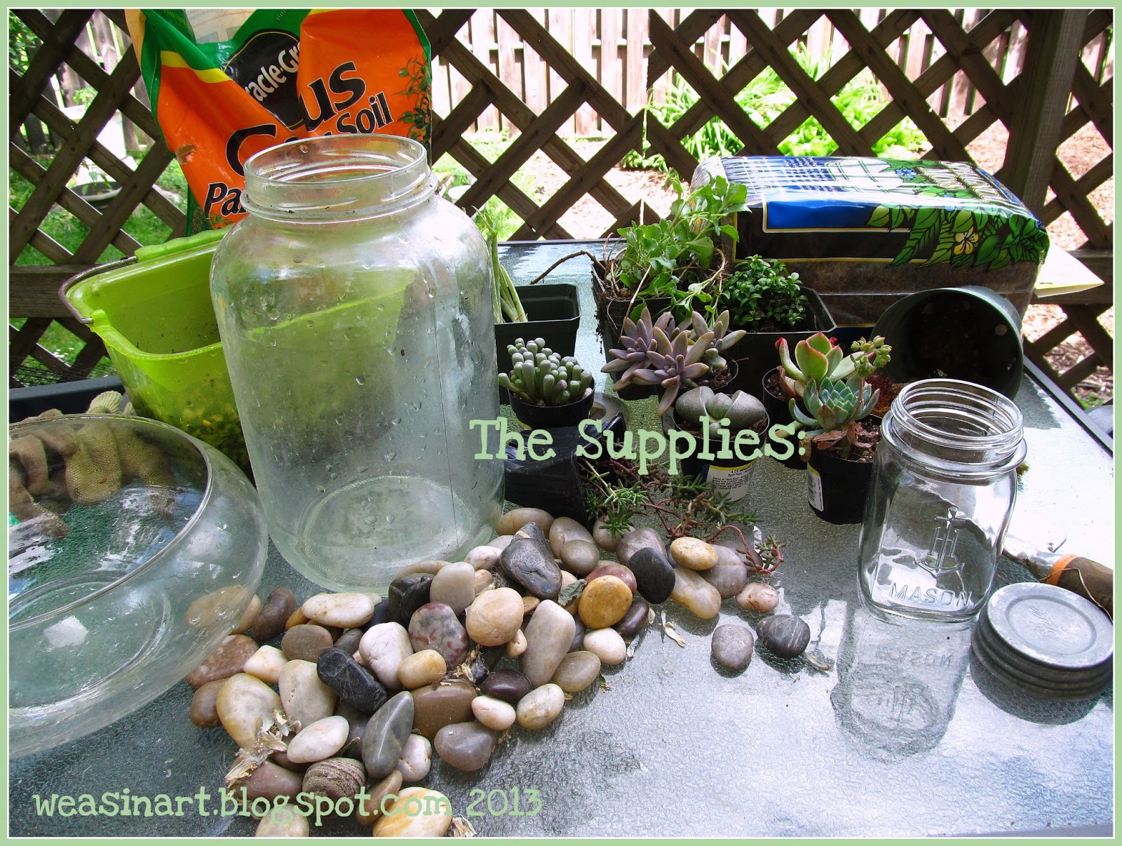 weasinart Sunday Funday DIY Terrariums & Rock Gardens