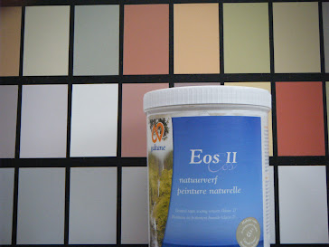 EOS II peinture naturelle murale lavable*