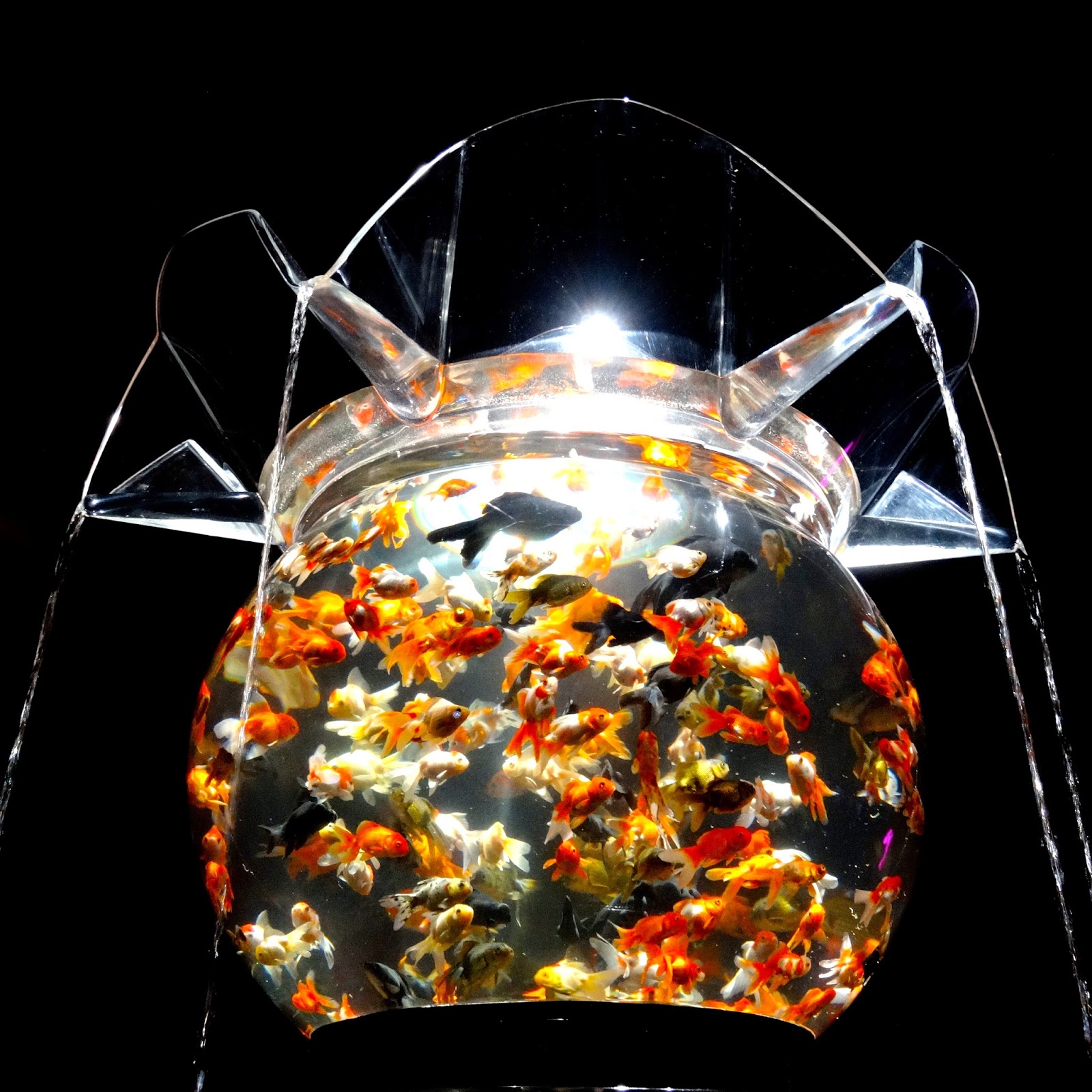 Crystal Vine アートアクアリウム展 名古屋